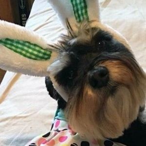 Meet your Posher, Jacob